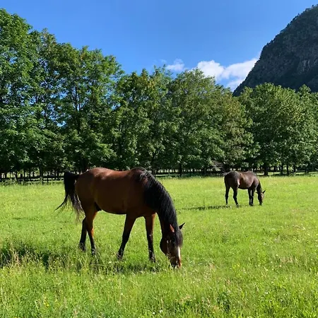 Pradileva Appartement *