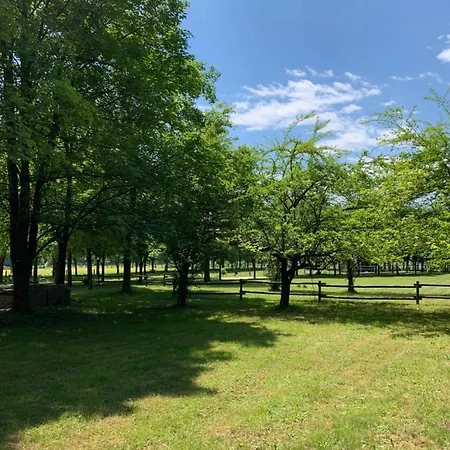 Pradileva Apartmán Tramonti di Sotto