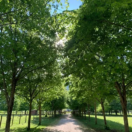 Appartement Pradileva *