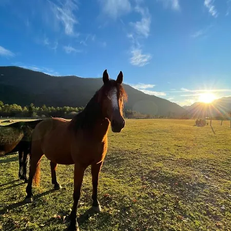 Pradileva Apartmán *