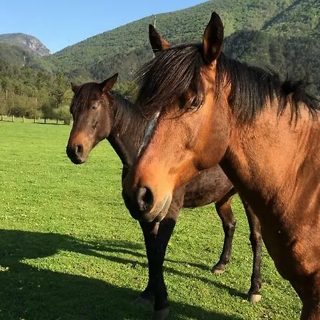 Pradileva Apartmán *