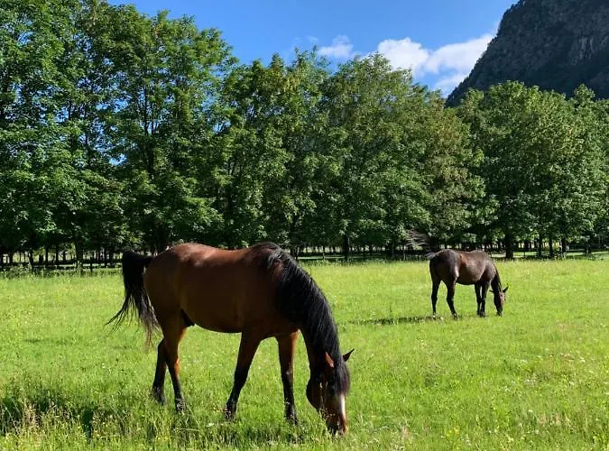 Pradileva Apartman *