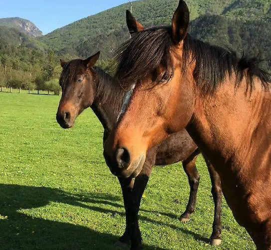 Pradileva Apartman *